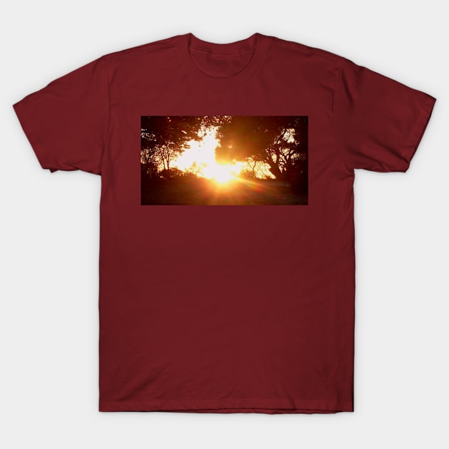 Sunburst T-Shirt by madebymei